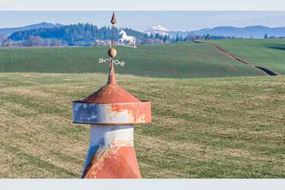 39986 Gisler Road, Scio, OR 97374 - Photo 8