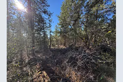 0 Chamois Circle #1, Bonanza, OR 97623 - Photo 4