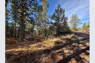 0 Chamois Circle #1, Bonanza, OR 97623 - Photo 6