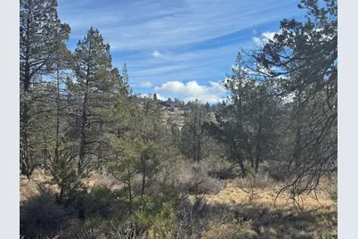 0 Golden Eagle Drive #23 & 24, Bonanza, OR 97623 - Photo 6