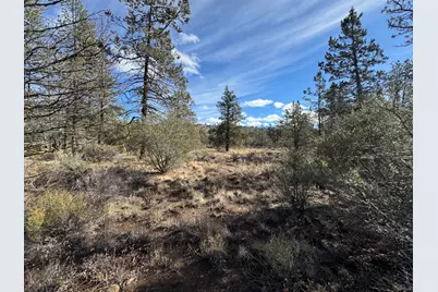 0 Golden Eagle Drive #23 & 24, Bonanza, OR 97623 - Photo 4