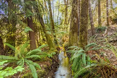 437 Little Grayback Road, Cave Junction, OR 97523 - Photo 20