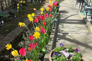 295 Tolman Creek Rd, Ashland, OR 97520 - Photo 26