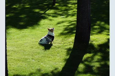 124316 Teatable Court, Crescent, OR 97733 - Photo 36