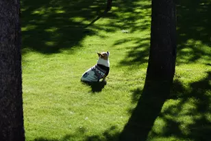 124316 Teatable Ct, Crescent, OR 97733 - Photo 36