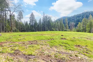 11260 Redwood Hwy, Wilderville, OR 97543 - Photo 4