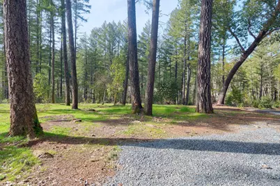 11260 Redwood Highway, Wilderville, OR 97543 - Photo 10