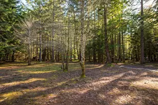 1954 Yeust Rd, Azalea, OR 97410 - Photo 14