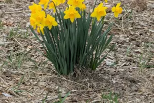 18025 2nd Ave, Bend, OR 97703 - Photo 52