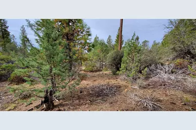 0 Kildeer Drive #19, Bonanza, OR 97623 - Photo 8