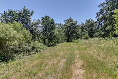 80546 Delight Valley School Road, Cottage Grove, OR 97424 - Photo 12