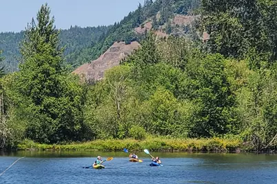 80546 Delight Valley School Road, Cottage Grove, OR 97424 - Photo 2