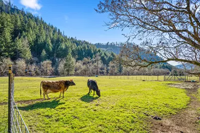18781 E Evans Creek Road, Rogue River, OR 97537 - Photo 14