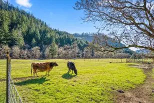 18781 E Evans Creek Rd, Rogue River, OR 97537 - Photo 14