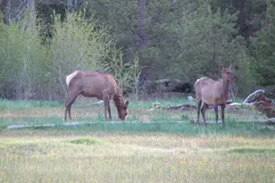 24850 West Side Rd, Klamath Falls, OR 97601 - Photo 4
