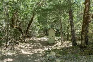 8843 Deer Creek Rd, Selma, OR 97538 - Photo 50