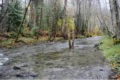 8843 Deer Creek Road, Selma, OR 97538 - Photo 54