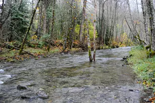 8843 Deer Creek Rd, Selma, OR 97538 - Photo 54