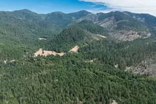 8843 Deer Creek Rd, Selma, OR 97538 - Photo 64