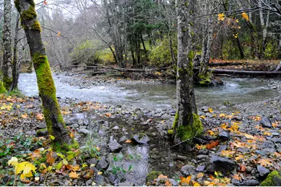 8843 Deer Creek Road, Selma, OR 97538 - Photo 56