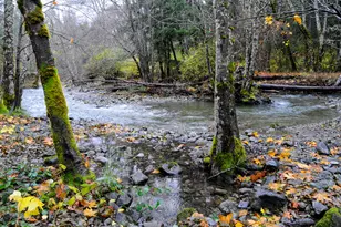 8843 Deer Creek Rd, Selma, OR 97538 - Photo 56