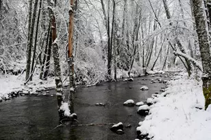 8843 Deer Creek Rd, Selma, OR 97538 - Photo 60