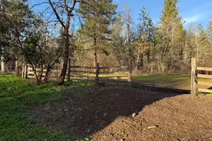 3759 Dick George Rd, Cave Junction, OR 97523 - Photo 4