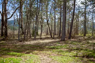 3759 Dick George Rd, Cave Junction, OR 97523 - Photo 10