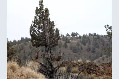 14090 SE Wickiup Road, Prineville, OR 97754 - Photo 2