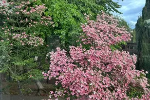 3192 Arnold Palmer Wy, Medford, OR 97504 - Photo 12