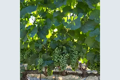 3192 Arnold Palmer Way, Medford, OR 97504 - Photo 66