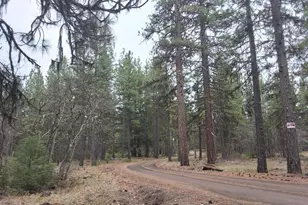 15922 Green Springs 66 Hwy, Ashland, OR 97520 - Photo 36
