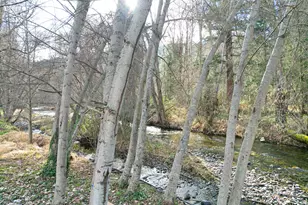 3356 Little Applegate Rd, Jacksonville, OR 97530 - Photo 56