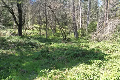 3356 Little Applegate Road, Jacksonville, OR 97530 - Photo 62