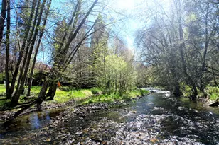 3356 Little Applegate Rd, Jacksonville, OR 97530 - Photo 2