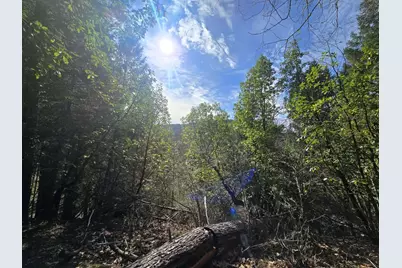 5395 Deer Creek Road, Selma, OR 97538 - Photo 22