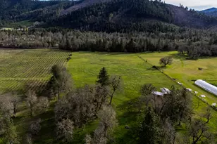 5395 Deer Creek Rd, Selma, OR 97538 - Photo 32