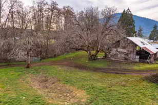 175 Deer Creek Rd, Selma, OR 97538 - Photo 20