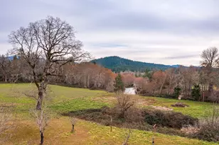 175 Deer Creek Rd, Selma, OR 97538 - Photo 16