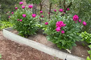 521 Seclusion Loop, Grants Pass, OR 97526 - Photo 44