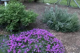 521 Seclusion Loop, Grants Pass, OR 97526 - Photo 42