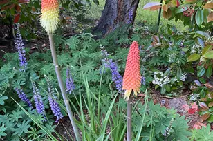 521 Seclusion Loop, Grants Pass, OR 97526 - Photo 46