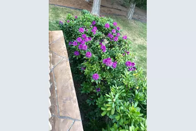 521 Seclusion Loop, Grants Pass, OR 97526 - Photo 68