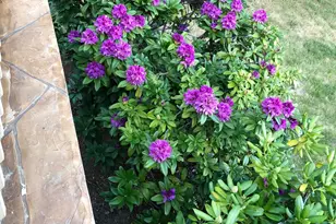 521 Seclusion Loop, Grants Pass, OR 97526 - Photo 68