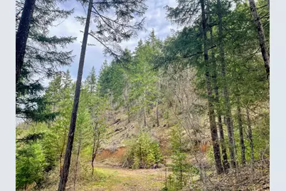 0 Savage Creek Rd Tl2502, Rogue River, OR 97537 - Photo 24