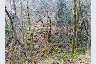 0 Savage Creek Rd Tl2502, Rogue River, OR 97537 - Photo 8