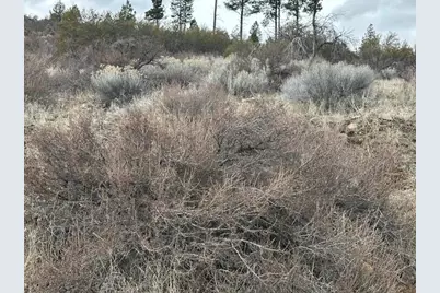 0 Cote Canyon #Lot 19, Sprague River, OR 97639 - Photo 4