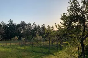 282 Reagor Ln, Cave Junction, OR 97523 - Photo 6