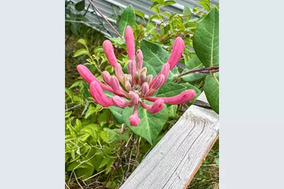 137127 Main Street, Crescent, OR 97733 - Photo 24