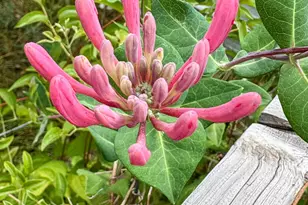 137127 Main St, Crescent, OR 97733 - Photo 24